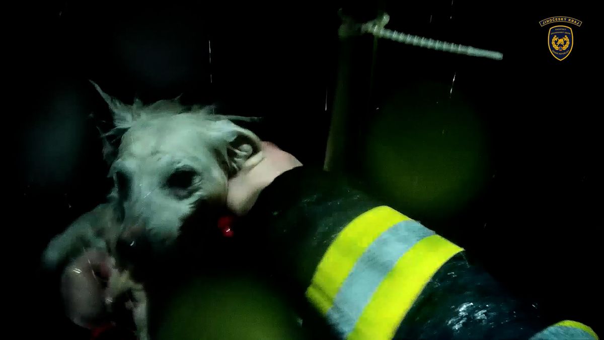 Pes na jihu Čech spadl do desetimetrové studny, vytáhl ho velitel hasičů